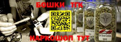 индика Мариинск