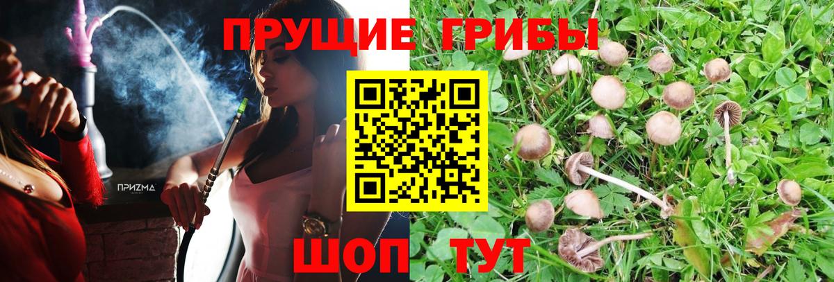 Галлюциногенные грибы ЛСД Унеча